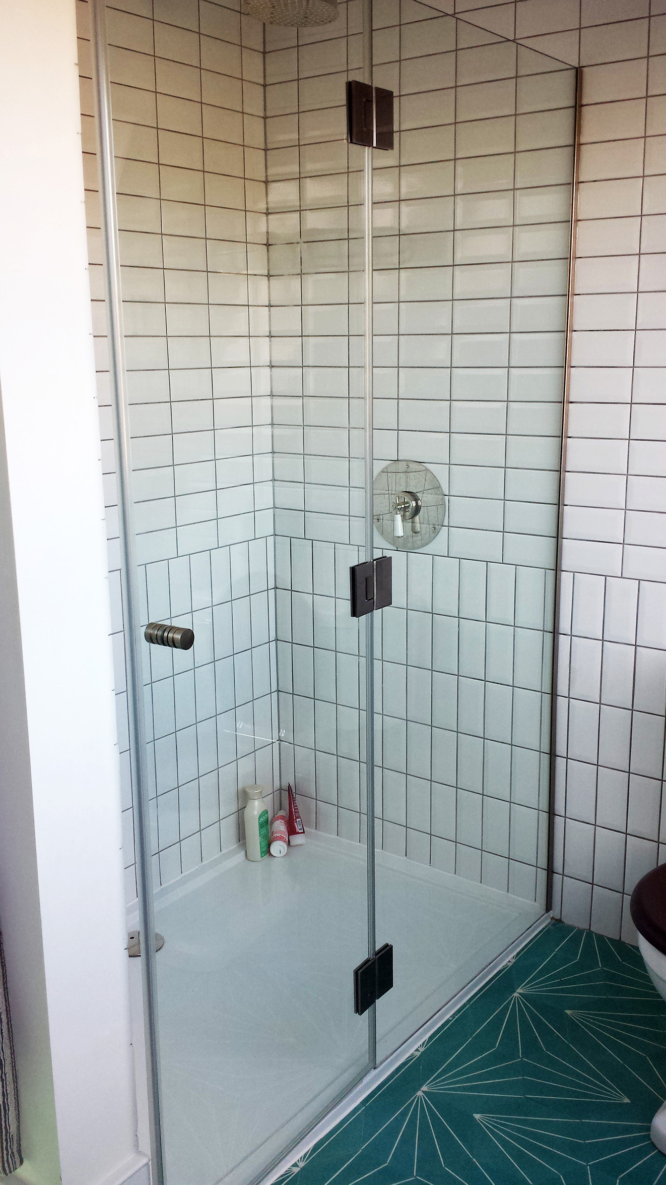Shower Door and Side Panel